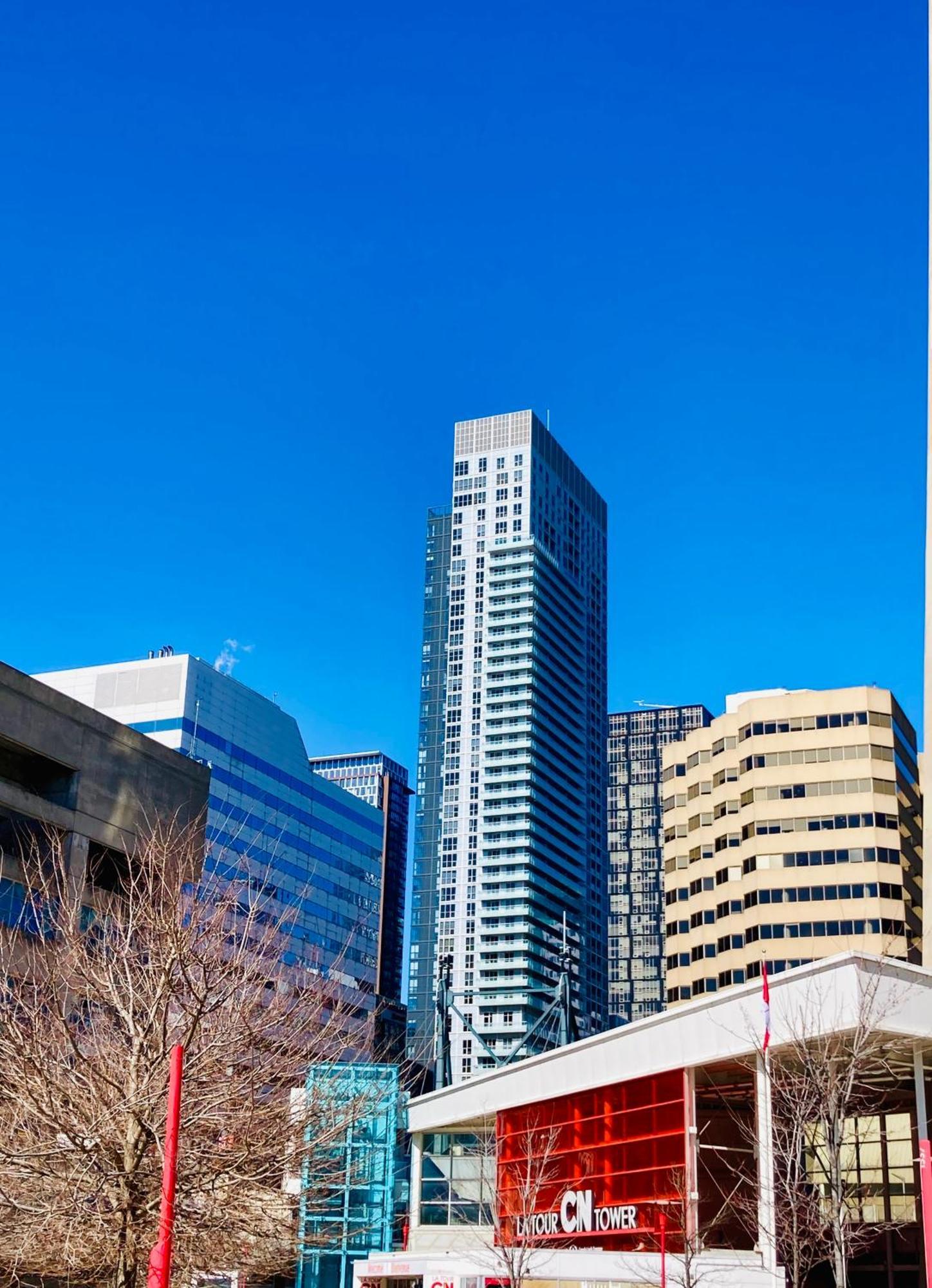 Central Toronto Suite - Free Parking, City Views, Near Cn Tower 외부 사진